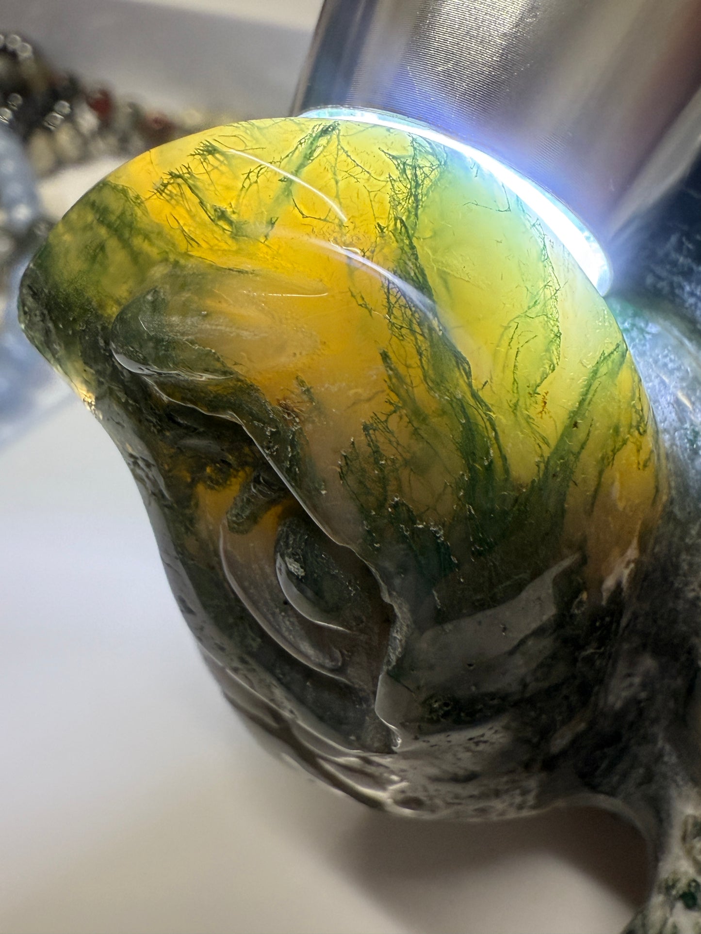 Turtle Carvings