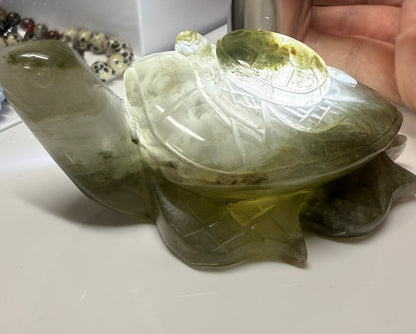 Turtle Carvings