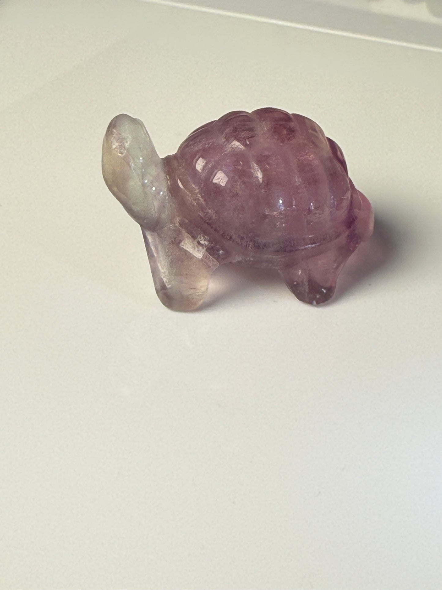 Turtle Carvings