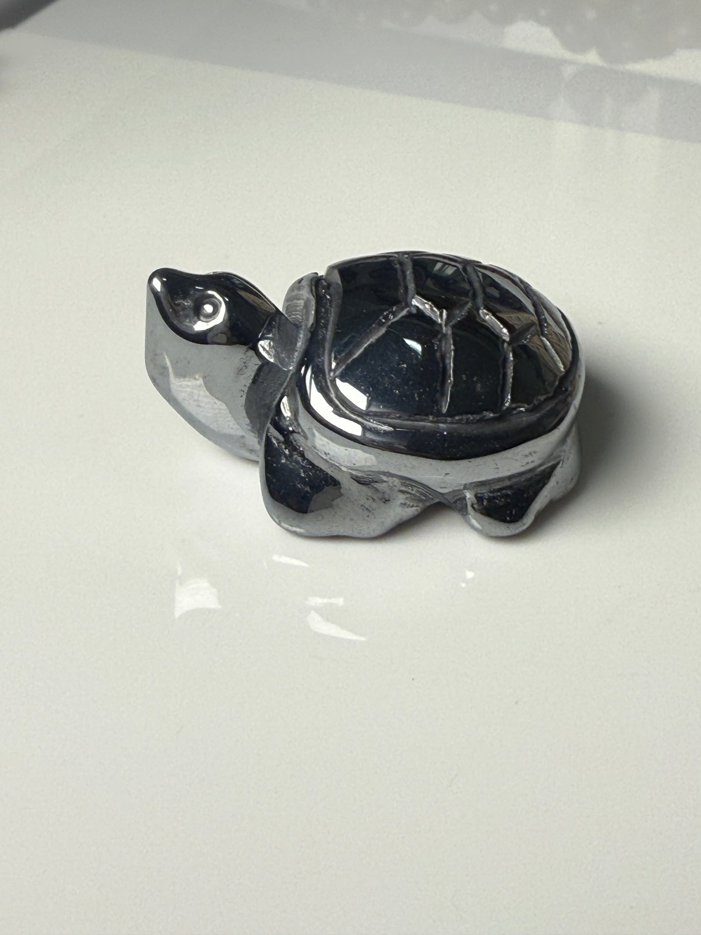Turtle Carvings