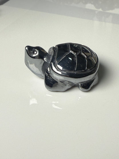 Turtle Carvings