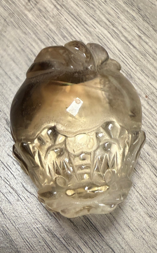 Smokey Citrine Dragon Turtles